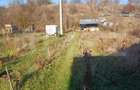 Casa + 20 arii  teren, distanta  30 km de Bistrita - 12