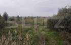 Teren de 39600 mp, PUZ, lângă Stația de Epurare - 1
