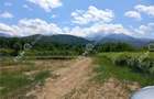 Teren intravilan 3900 mp Porumbacu de Sus, Sibiu - 11