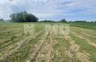 Teren Extravilan | 23 Ari | Satu Mare | Suceava - 3