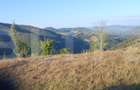 Teren intravilan, 3000 mp, Sat Garda de Sus - 4