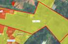 Teren intravilan de vanzare – Moara de Vant, Iași , 2750mp - 1