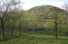 (307) Teren intravilan Calinesti – sat Carstieni, jud. Arges / Direct proprietar - 2