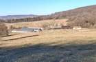 Ferma complet echipata de vanzare – zona Agnita, judetul Sibiu - 2