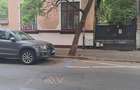 Vila Cotroceni zonă ultracentrală / Dr. Staicovici, poziție excelentă - 1