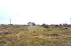 Teren intravilan 500mp Mandruloc - 6