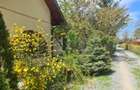 casa curte/ Otopeni/ curte foarte mare/firma rent a car/parcare long t - 9