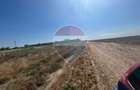 Teren intravilan  6,263mp Pielesti - 2