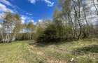 TEREN EXTRAVILAN | 103.000mp | BALANACA-GROSI | PASUNE | PASUNE IMPADURITA | BIH - 8