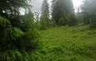 Teren de vanzare Belis1300mp Strada principala Intravilan - 1