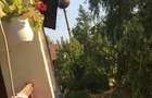 De Vânzare – Fermă de Pomi Fructiferi, 48,8 ha, Iancu Jianu, Jud. Olt - 12