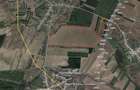 Vanzare teren Ciorogarla - Bacu - Sabareni - A0, ILFOV