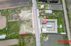 Pensiune + 4,7 Ha teren E85 Roman - Neamț - Afacere la cheie - 3