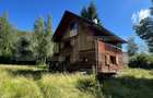 Cabana cu parau si brazi maturi, 1400mp, Valea Fericirii - 3