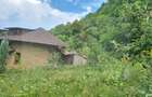 Casă individuală 6 camere de vânzare Brăduleț Argeș Complex Cabane - 4