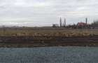 Vand teren industrial 4310 mp in Ghiroda-Aeroport - 2
