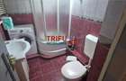 Apartament 2 camere de inchiriat zona  Mercur - 9