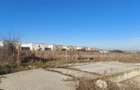 Vanzare depozit/hala/spatiu industrial Buftea -Crevedia - Butimanu - DN1A, Dambo - 6