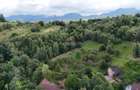 Comision 0% |Teren intravilan 2.700 mp | Sohodol – Bran |Castelul Bran