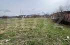Teren Intravilan de vanzare, 4400 mp, zona Viisoara - 2