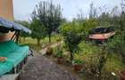 Duplex Tractorul  Coresi,mobilat-utilat,curte comuna,650 Euro - 2