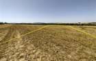 Nicolint, 2 Terenuri Extravilane, Arabil, 1.45 Hectare - 10