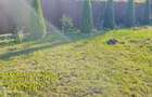Proprietate com.Stefan cel Mare, intr-un cadru natural inedit - 16