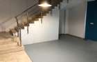 Satiu comercial  subsol Dorobanti complex Mario Plaza