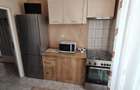 Apartament 1 camera 41 mp utili pivnita si balcon inchis Turnisor - 3