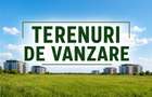 Terenuri- MOSNITA NOUA- TOATE UTILITATILE - 3