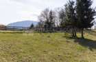🌿 Teren Intravilan 3.791 mp | Priveliște Panoramică Superbă | Poiana Mărului - 26