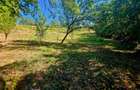 Teren intravilan 2322 mp, Păcuri – vedere superbă spre pădure! - 7