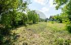 Casă de vânzare în Rotbav | Teren 1.500 mp | Zonă centrală - 9