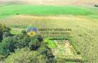 TEREN intravilan  9.126 mp - comuna STEFAN cel MARE - 6