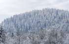 Teren intravilan, 22600mp, zona Manastirea Sucevita - 10