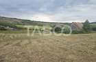 Teren de vanzare 8700 mp cu un front de 30m in Sura Mare - 4