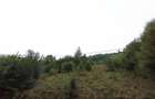 Proprietar-Vând două terenuri, unul de 7.100 mp, celălalt de 25.000 m2 - 3