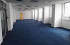 Spatii de inchiriat - River Plaza - Corp A -  554.20 mp