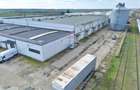 Spațiu industrial de vânzare în Aradul Nou / Arad - 6