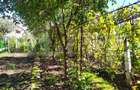 Casa de 170 mp, teren 720 mp, parcare, zona Cetate - 9