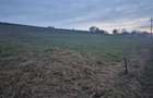 De vanzare teren 1,2 Ha in Laureni - 4