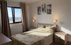 Apartament 2 camere Titan/ Aleea Ninsorii CENTRALA PROPRIE!!! - 6
