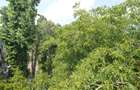 Oferta Vanzare Apartament 3 Camere Rahova | Localizare Excelenta - 24
