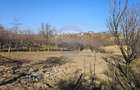 Casă / Vilă , Salcea, Suceava - 18