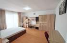Apartament cu o cameră de inchiriat, 35 mp+balcon, Zorilor Str.Viilor - 3