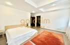DUPLEX SUPERB CU GRADINA 165 MP//PARCARE SUBTERANA /SOSEAUA NORDULUI - 15