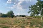 Teren intravilan, 3840mp, Turnu - 3
