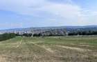 Oportunitate de investiție Teren intravilan, 3150 mp , Panoramic , Dambu Rotund - 1