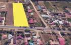 Teren intravilan 5.000 mp | Tămădău Mare | DN3 | Parcelabil - 1