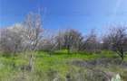 Teren 4000 mp + casa demolabila in Bragadiru/Varteju (Magurele) - 1